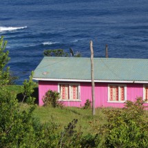 Pink house on the Pacific Ocean